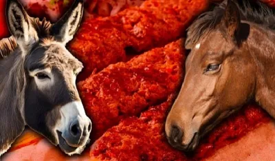 Vatandaşa et eti, eşek eti yedirmişler