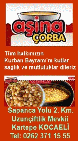 banner863